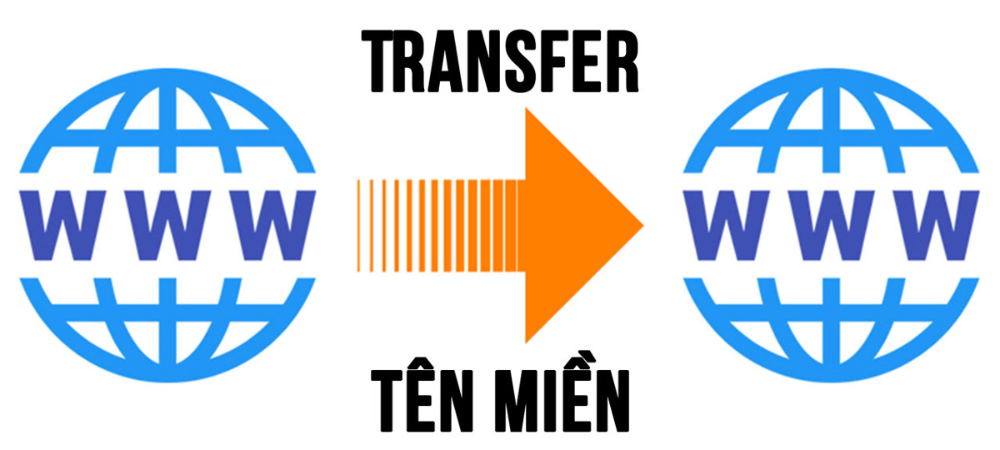 Transfer domain là gì?