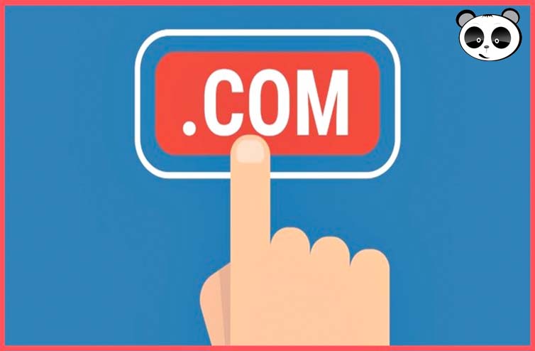 Xem xét tên miền sai chính tả