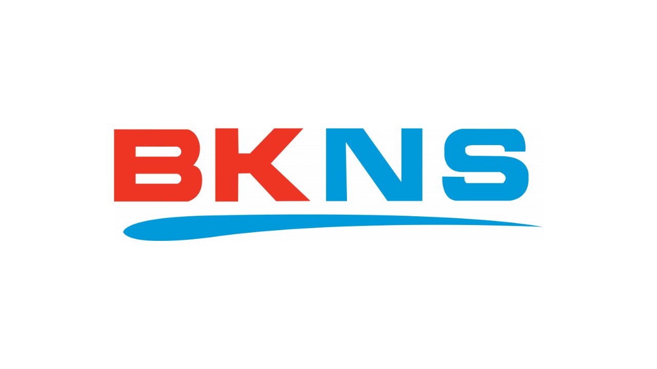 BKNS cung cấp domain giá rẻ