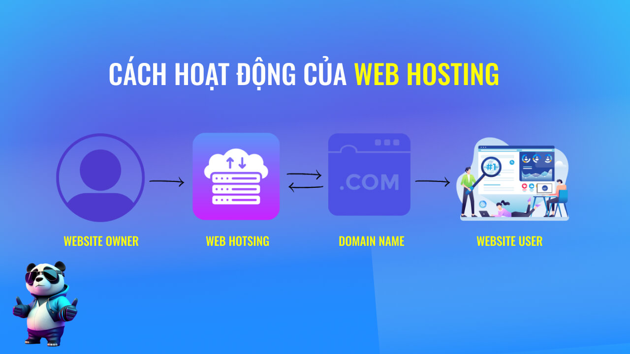 Web hosting hoạt động như thế nào