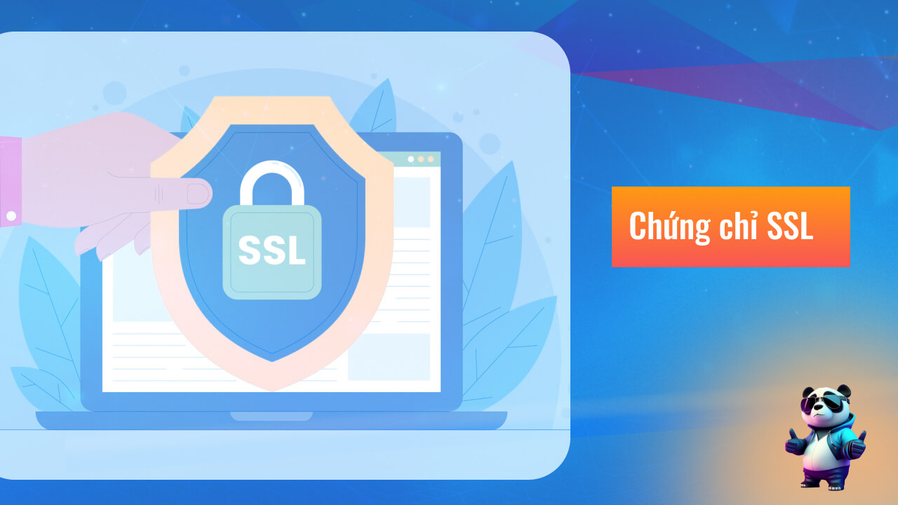 Sử dụng chứng chỉ SSL bảo vệ tên miền