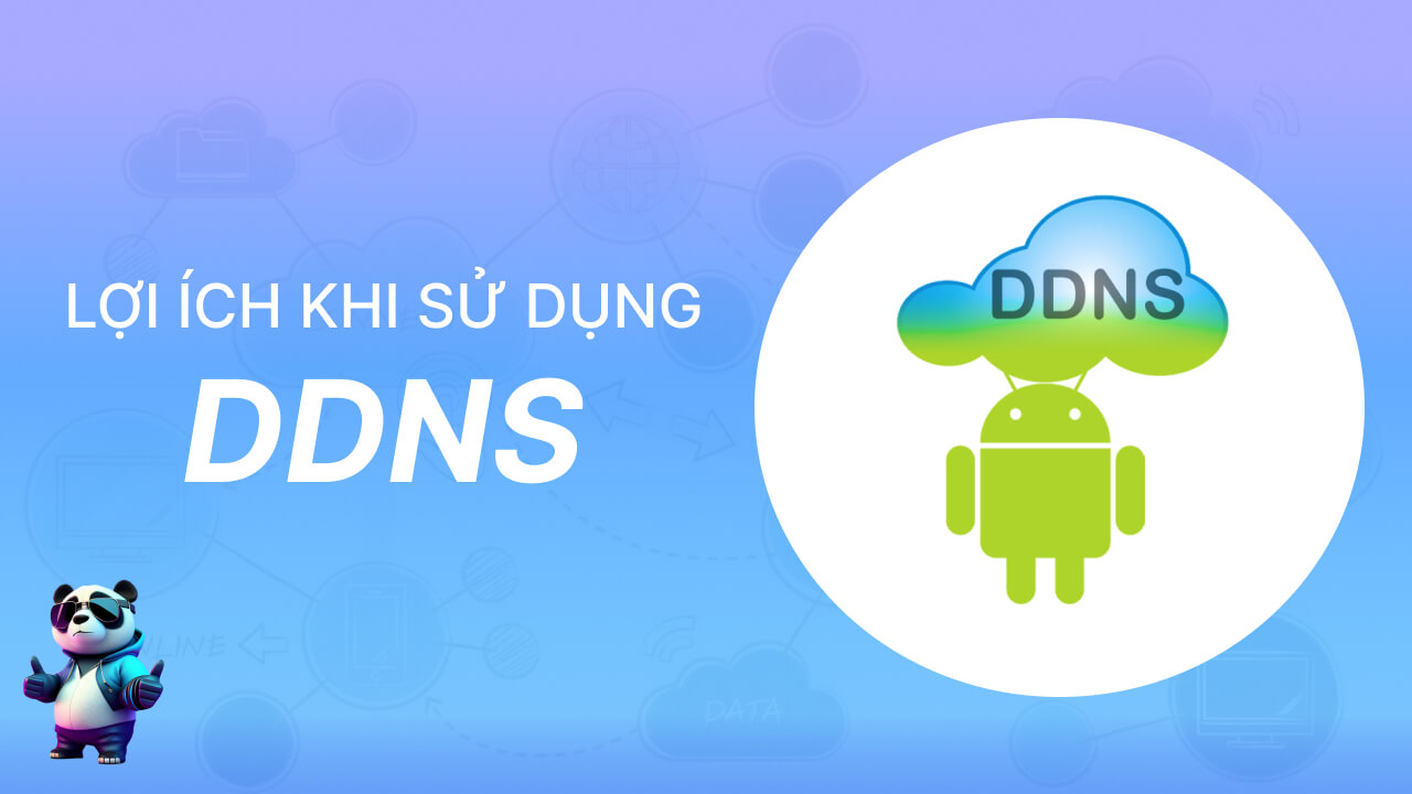 Tại sao bạn nên sử dụng dịch vụ DDNS?