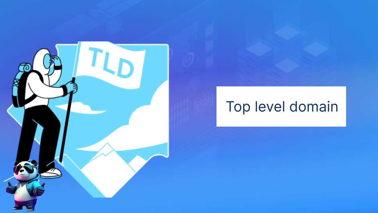 Top level domain (TLD)