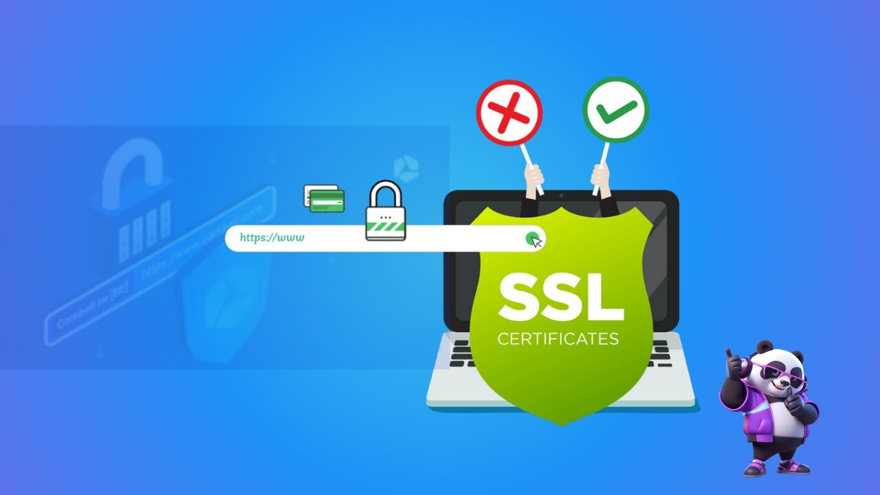 Ưu điểm và nhược điểm của chứng chỉ SSL