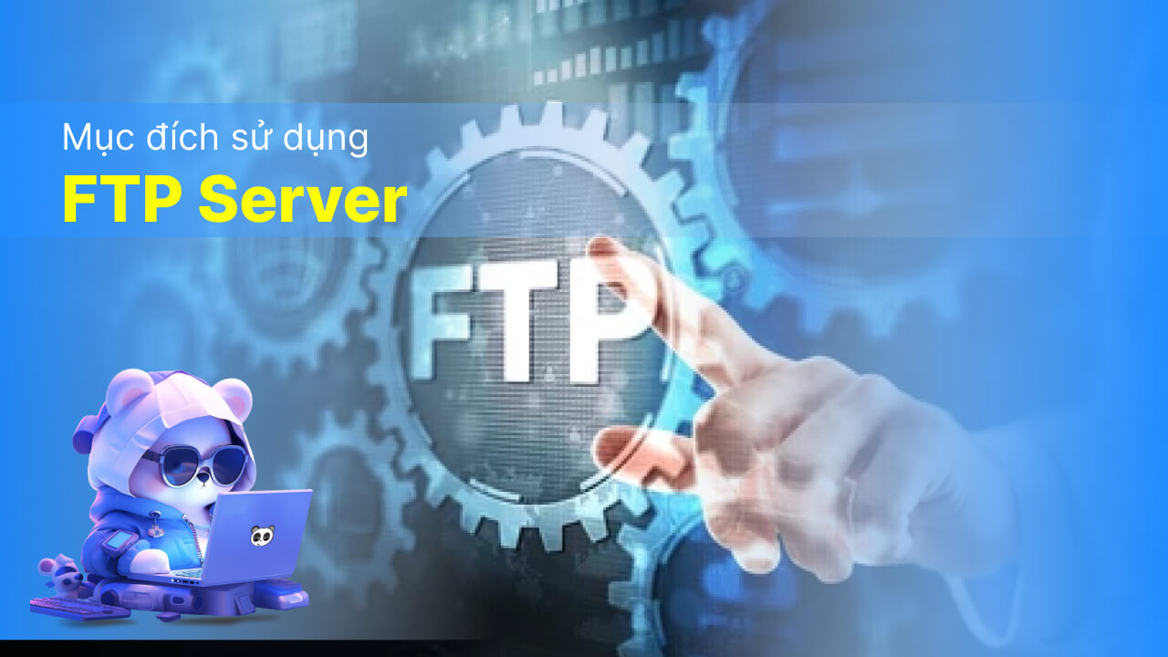 Mục đích sử dụng FPT Server là gì?