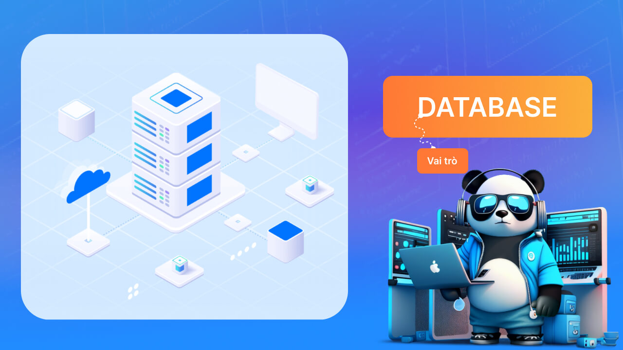 Cơ sở dữ liệu được sử dụng để làm gì?