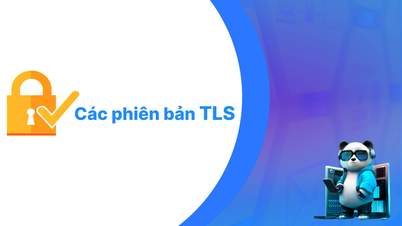 Các phiên bản của giao thức TLS