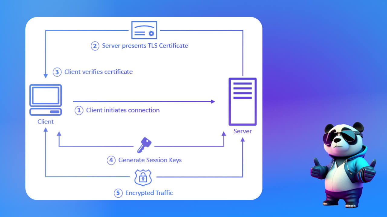 Cách giao thức TLS hoạt động