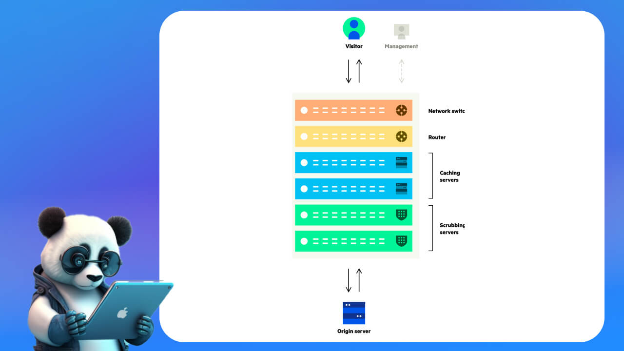 Cơ sở hạ tầng của CDN bao gồm những gì?