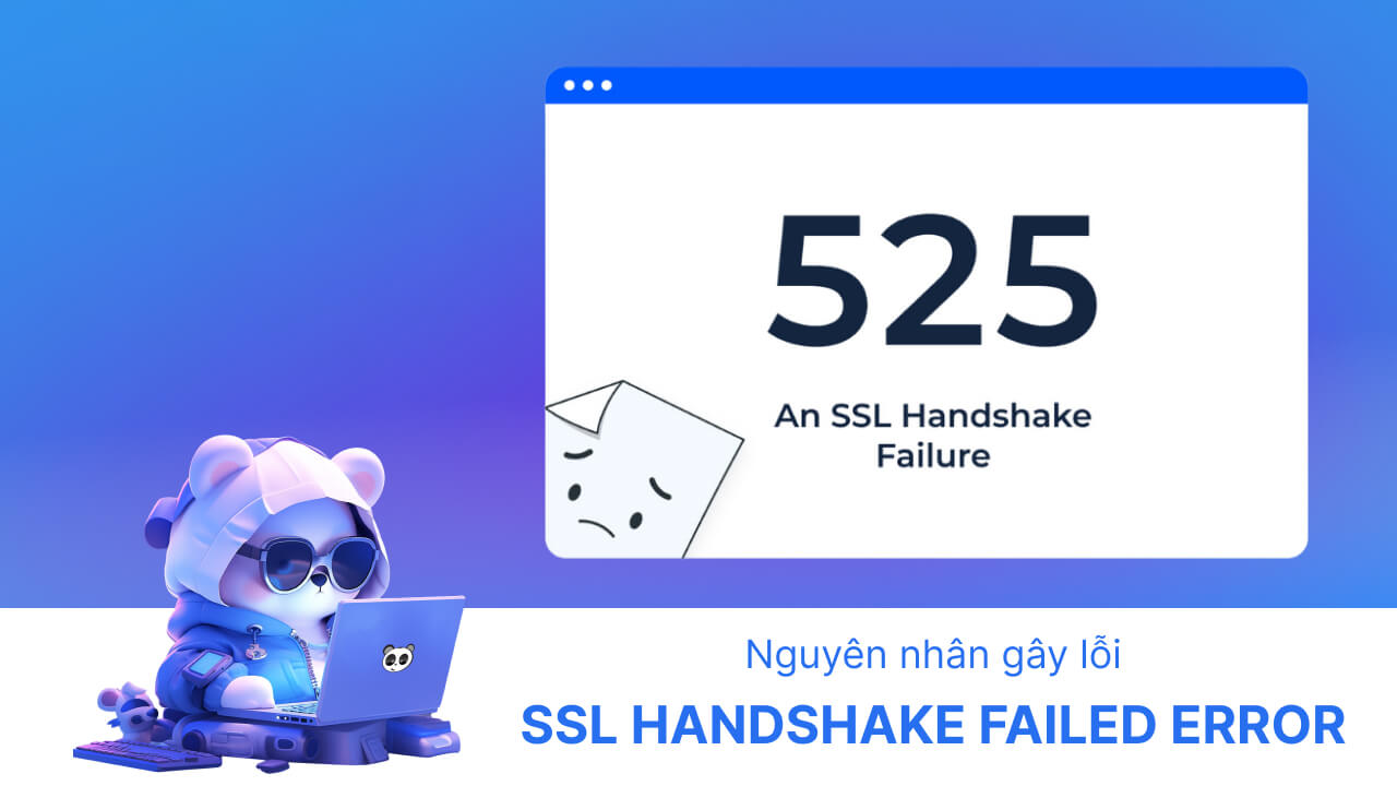 Nguyên nhân gây ra lỗi lỗi SSL Handshake Failed là gì