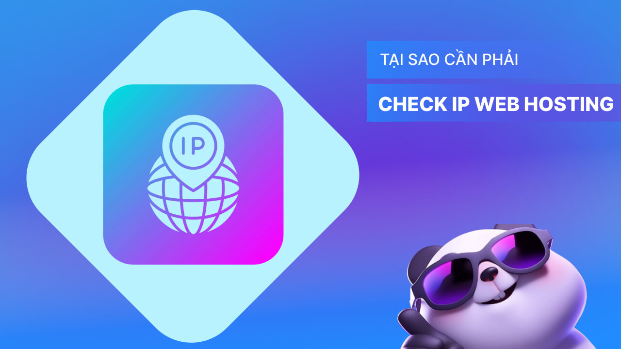 Tại sao phải check IP web hosting của website