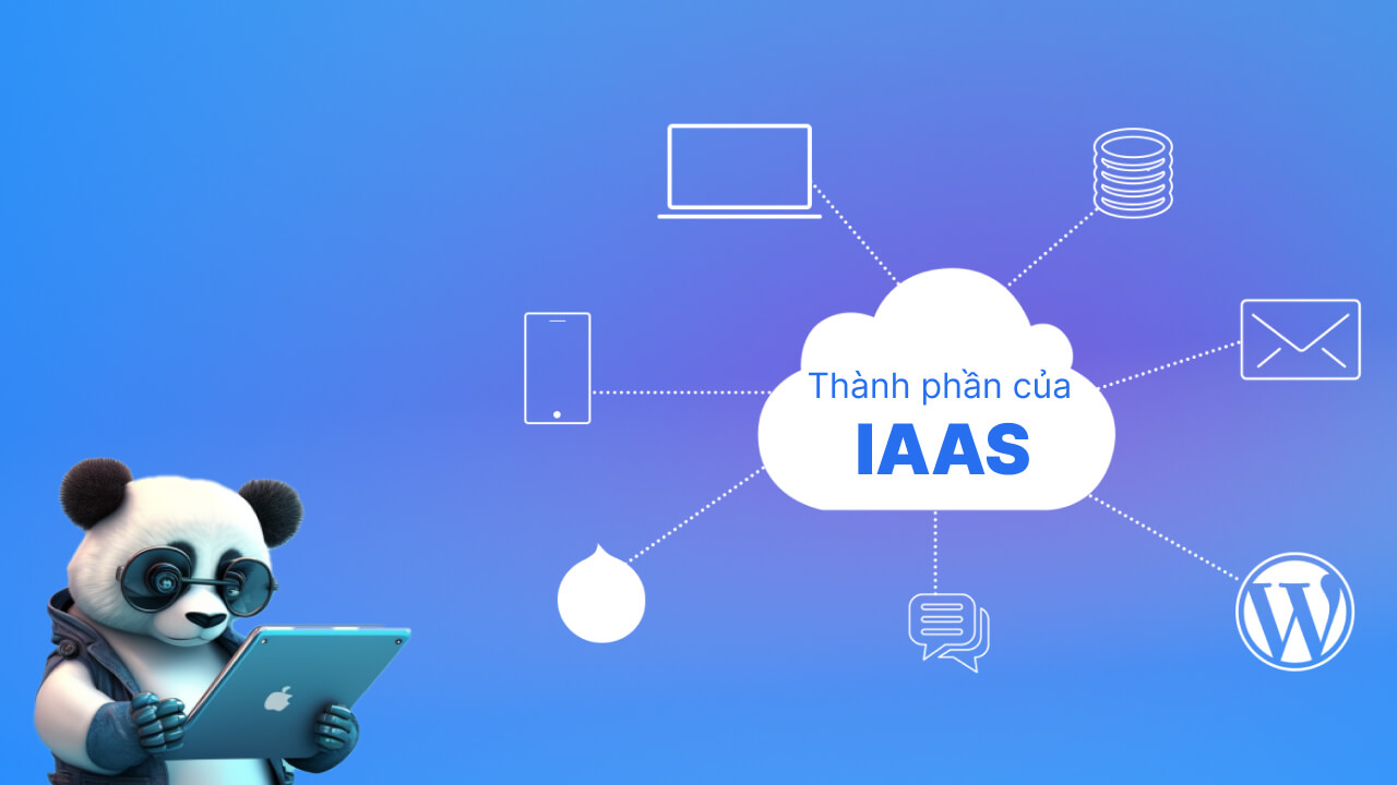 Các thành phần của IaaS là gì?