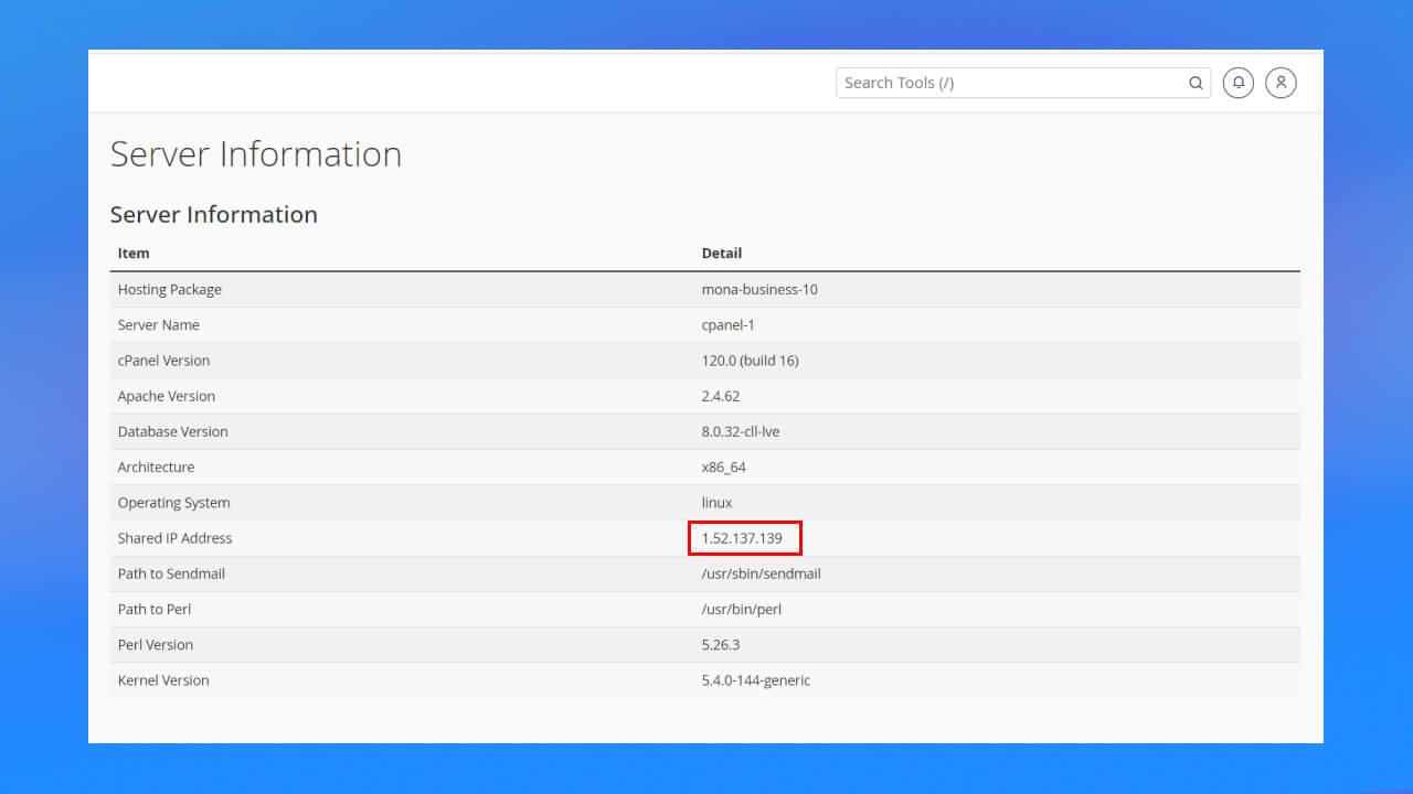 tìm dòng Shared IP Address để check IP address của máy chủ mà bạn đang sử dụng. 