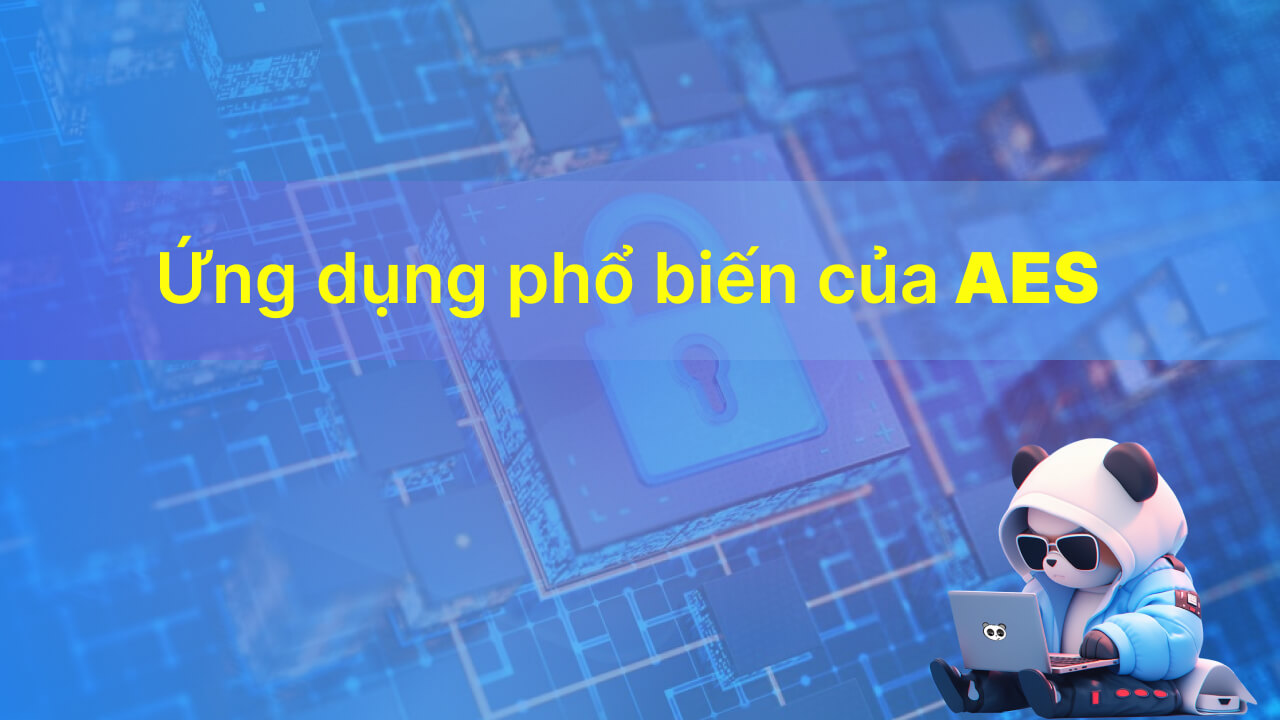 Một số ứng dụng phổ biến của AES