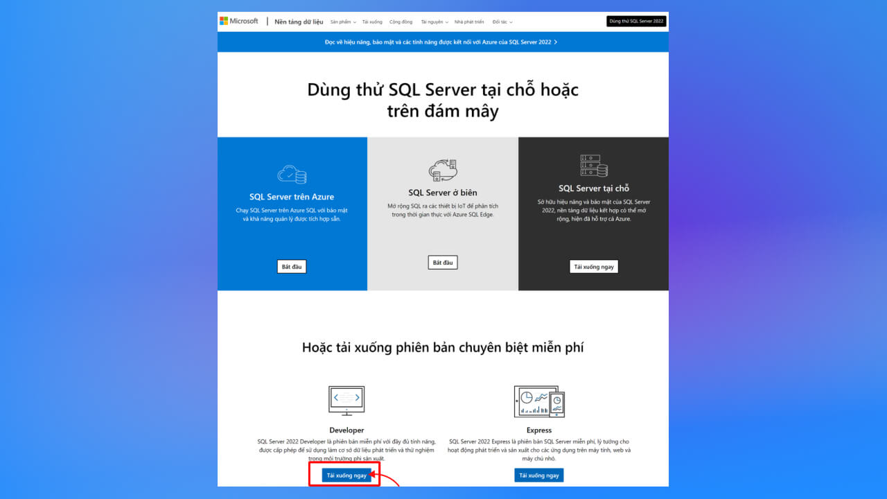 chọn mục Developer để tải phiên bản SQL Server 2022