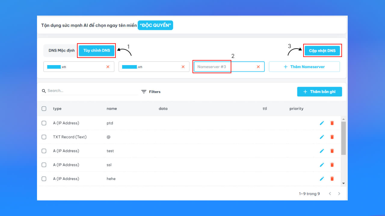 chọn phần Tùy chỉnh DNS