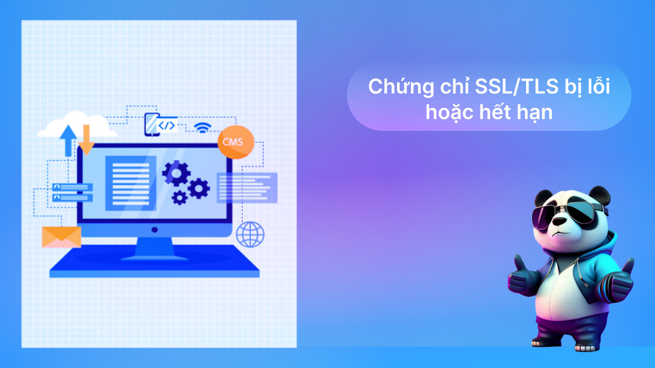 Chứng chỉ SSL/TLS bị lỗi hoặc hết hạn