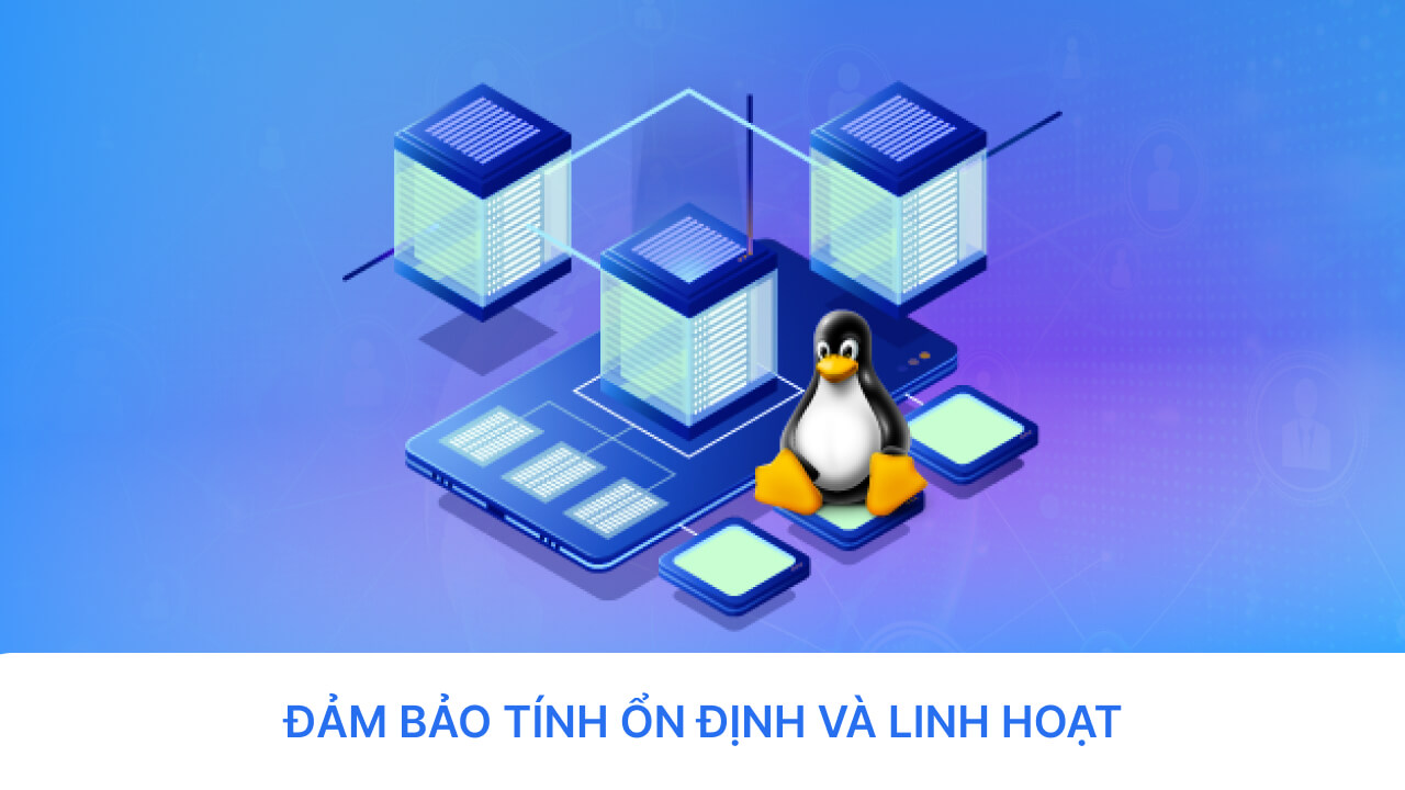 Đảm bảo tính ổn định và linh hoạt