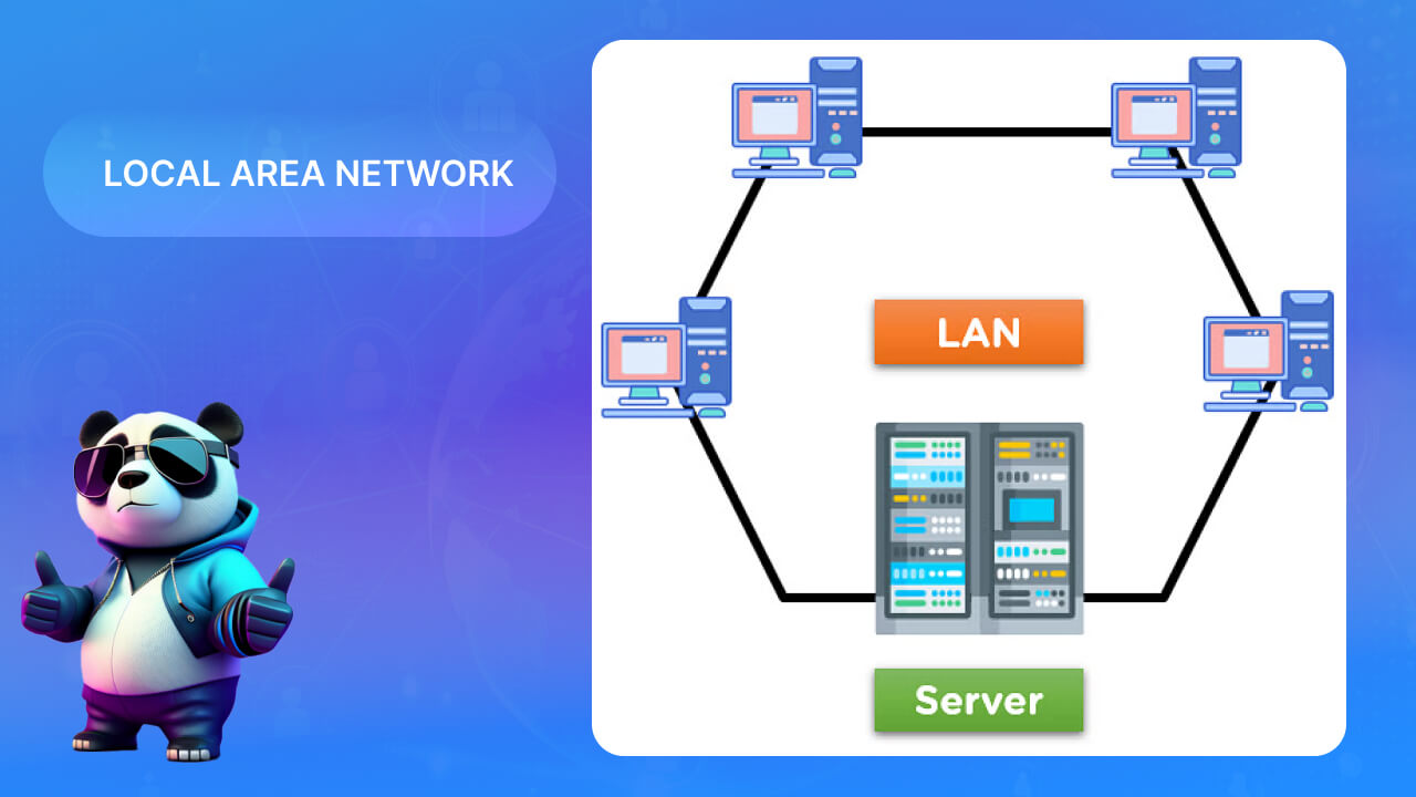 Local Area Network (LAN - Local Area Network)