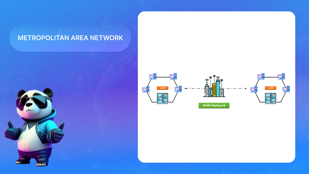 Network khu vực đô thị