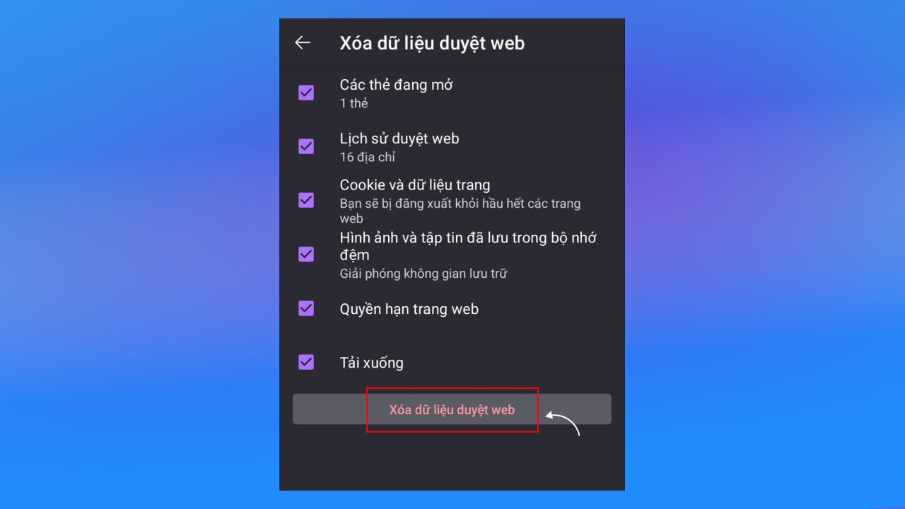 Nhấn vào Xóa dữ liệu duyệt web để bắt đầu quá trình.