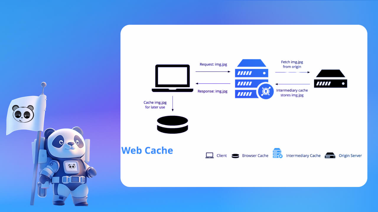 Web Cache