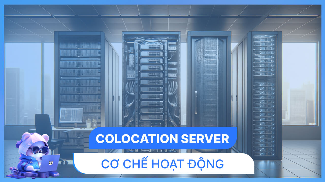 Cách thức hoạt động của Colocation Hosting