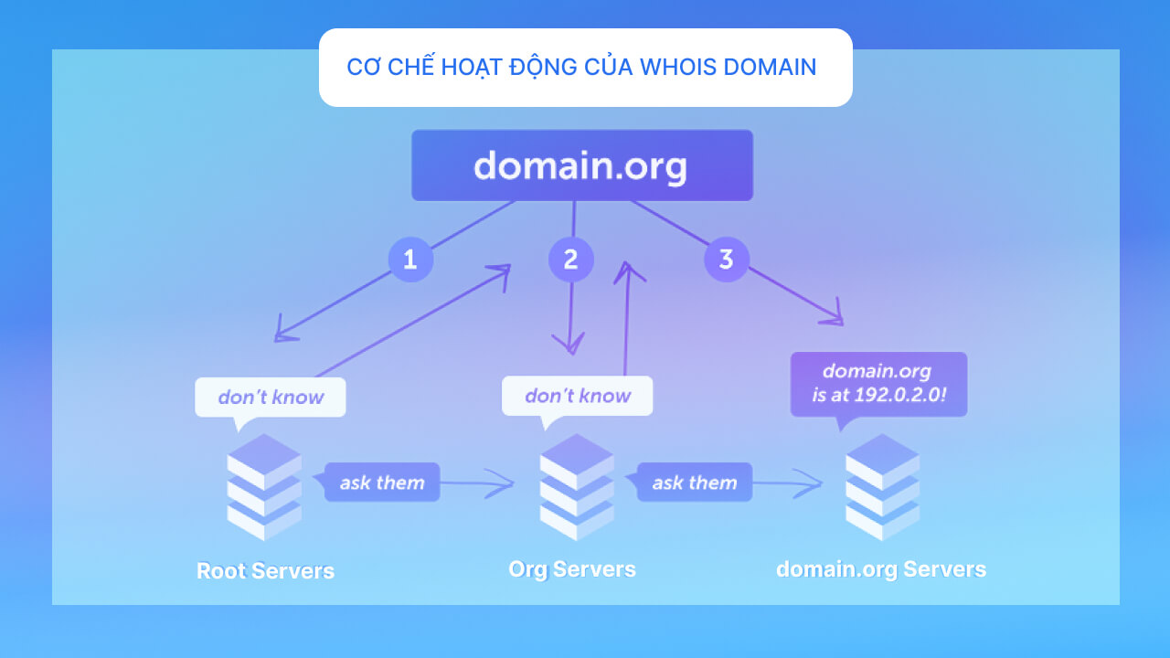 Công cụ Whois hoạt động như thế nào?