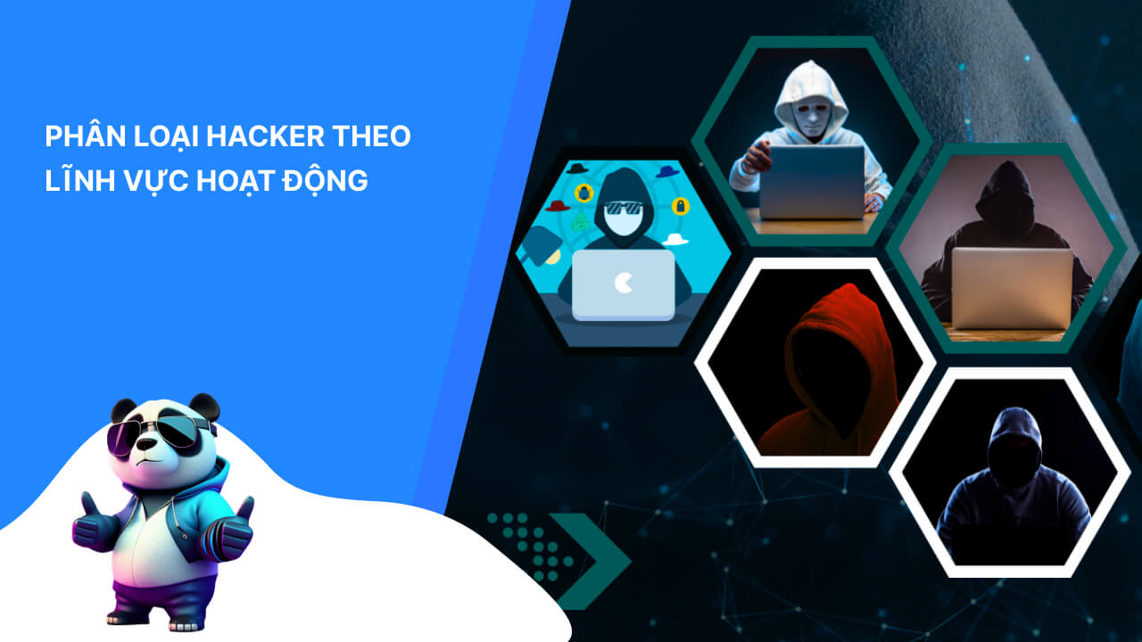 Phân loại hacker theo lĩnh vực hoạt động