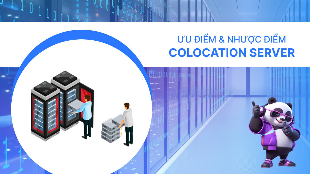 Ưu điểm và hạn chế của Colocation Hosting