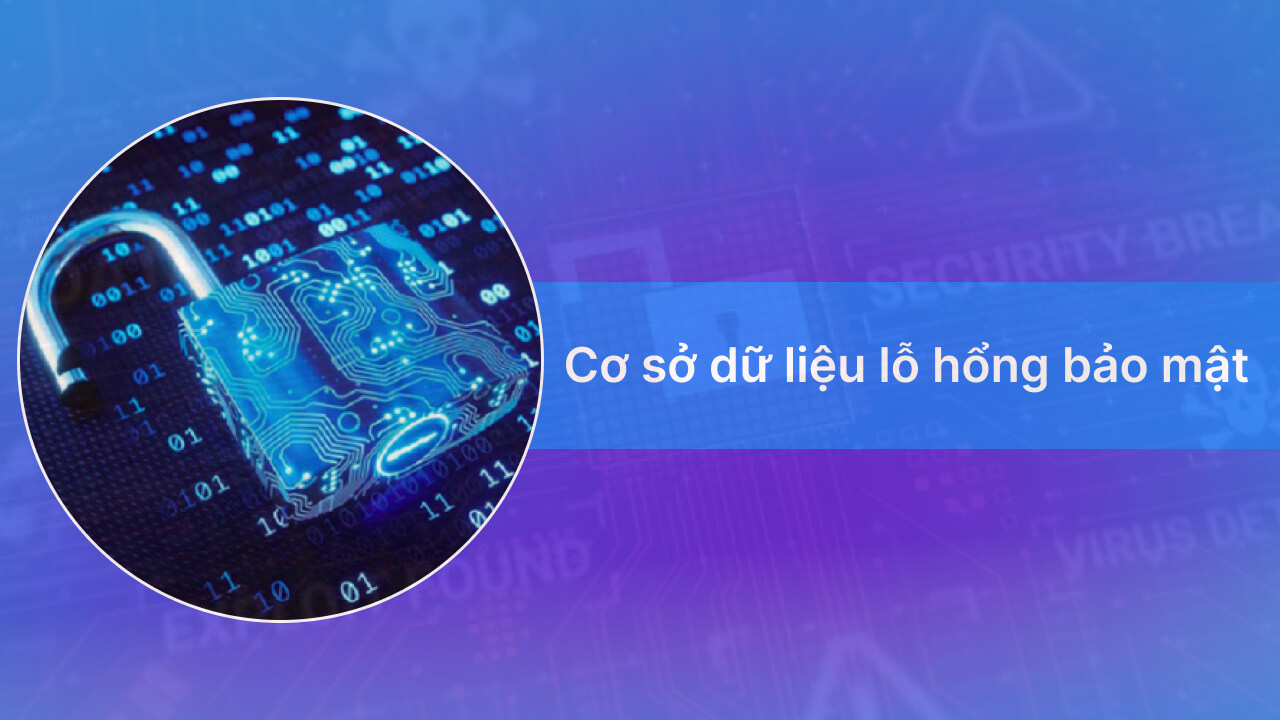 Cơ sở dữ liệu lỗ hổng bảo mật là gì?