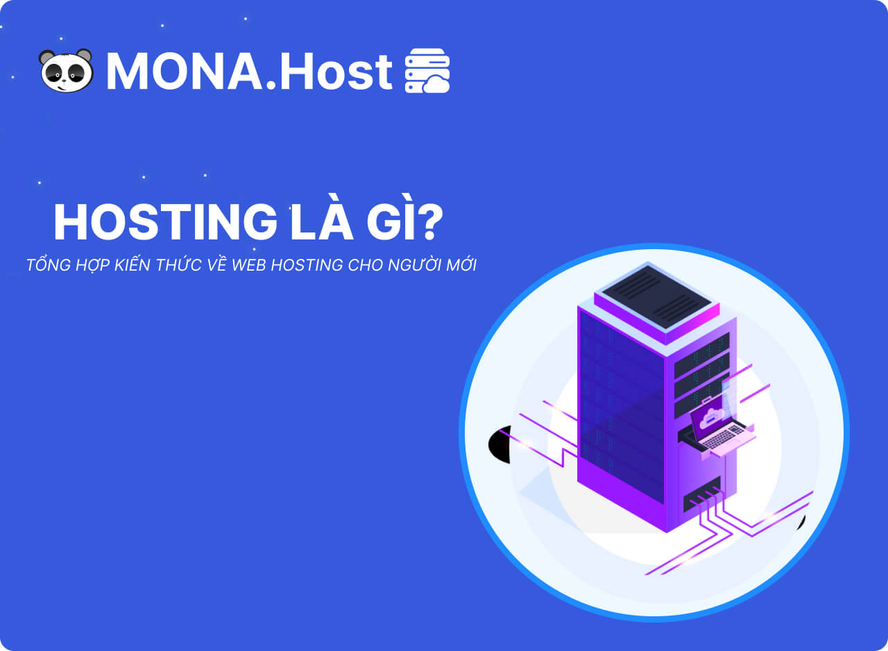 Hosting Là Gì? Tổng Hợp Kiến Thức Về Web Hosting Cho Người Mới