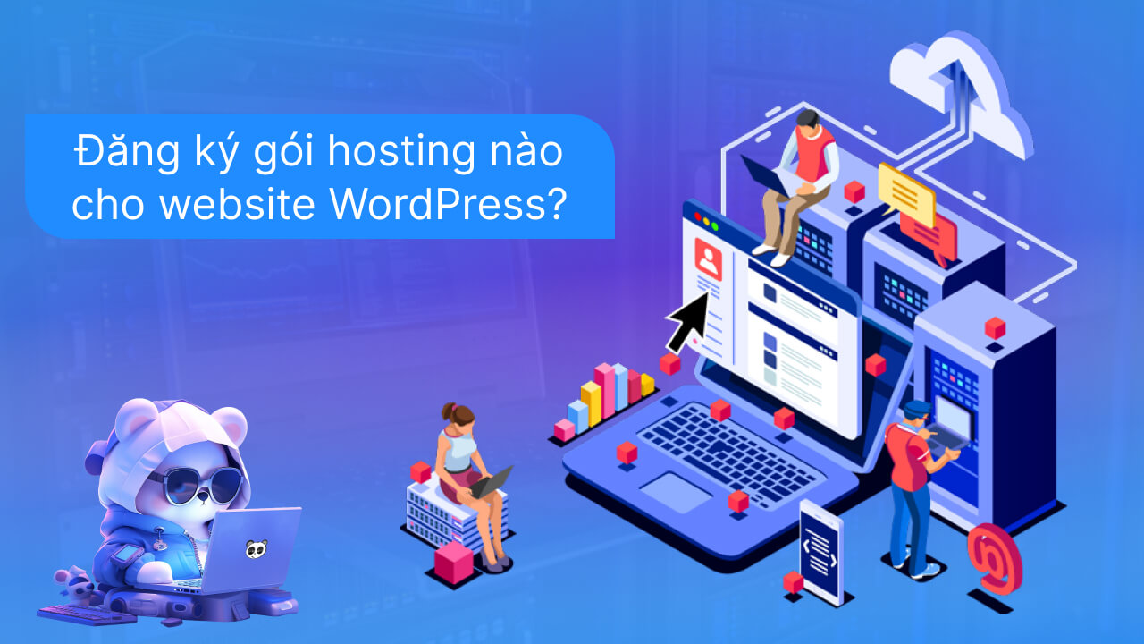 Nên lựa chọn gói hosting nào cho website WordPress?