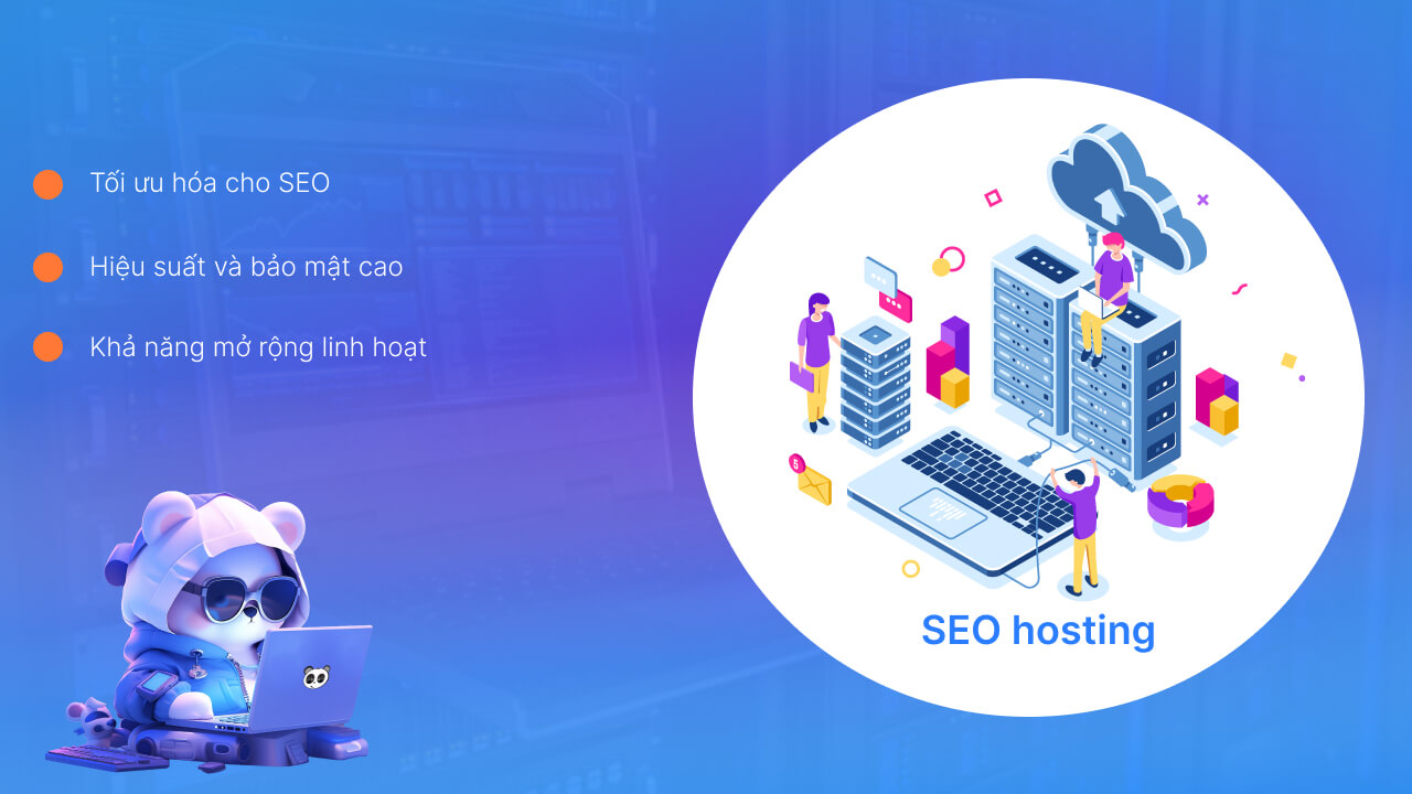 SEO hosting là gì?