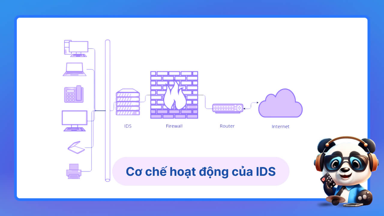 Hệ thống IDS tiêu chuẩn hoạt động như thế nào?