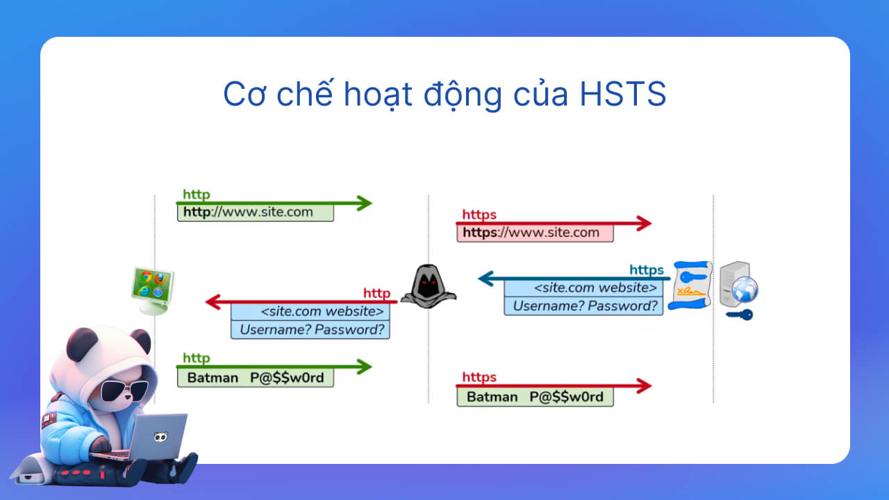 HSTS hoạt động như thế nào?