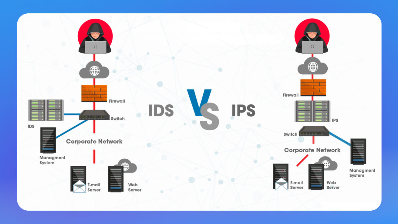 Lý do cần sử dụng IPS và IDS là gì?