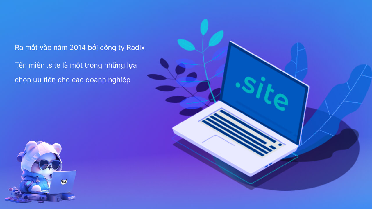 Quá trình hình thành và phát triển của domain .site