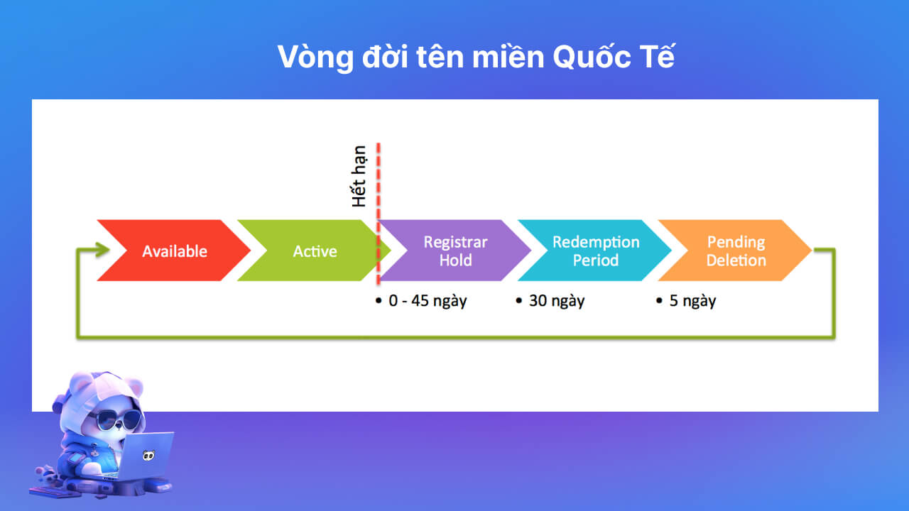 Vòng đời tên miền Quốc Tế