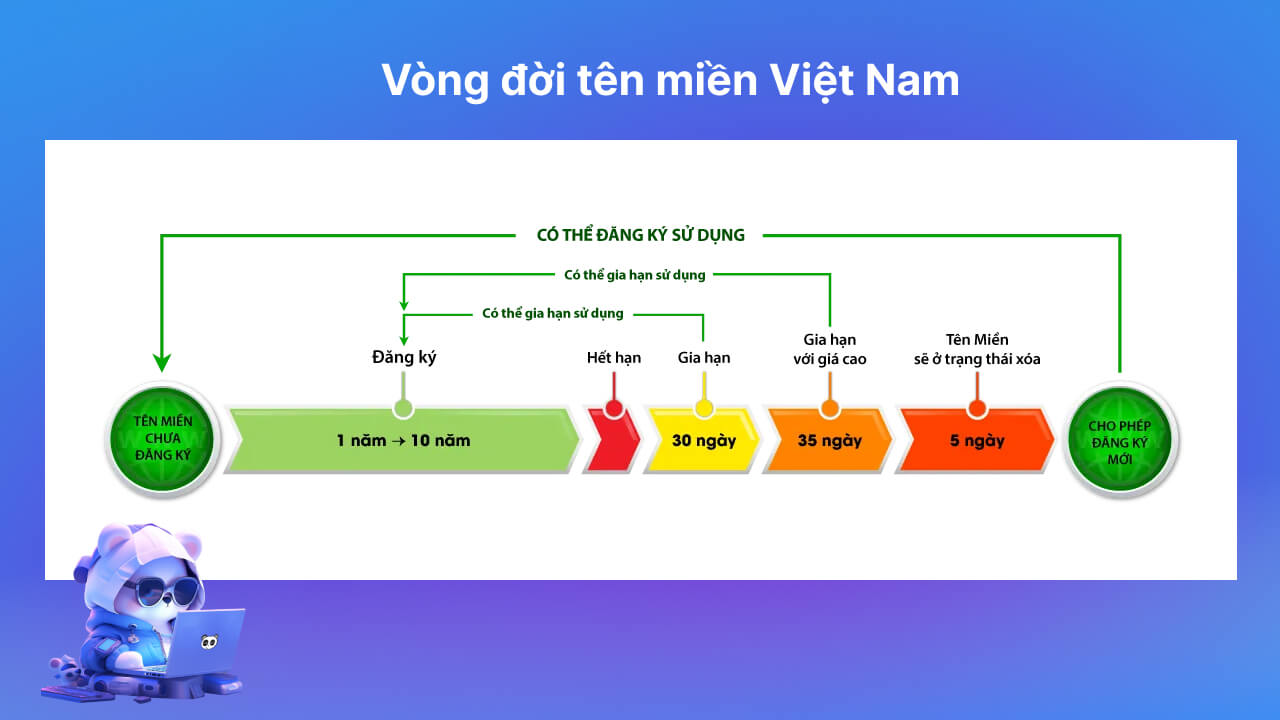 Vòng đời tên miền Việt Nam