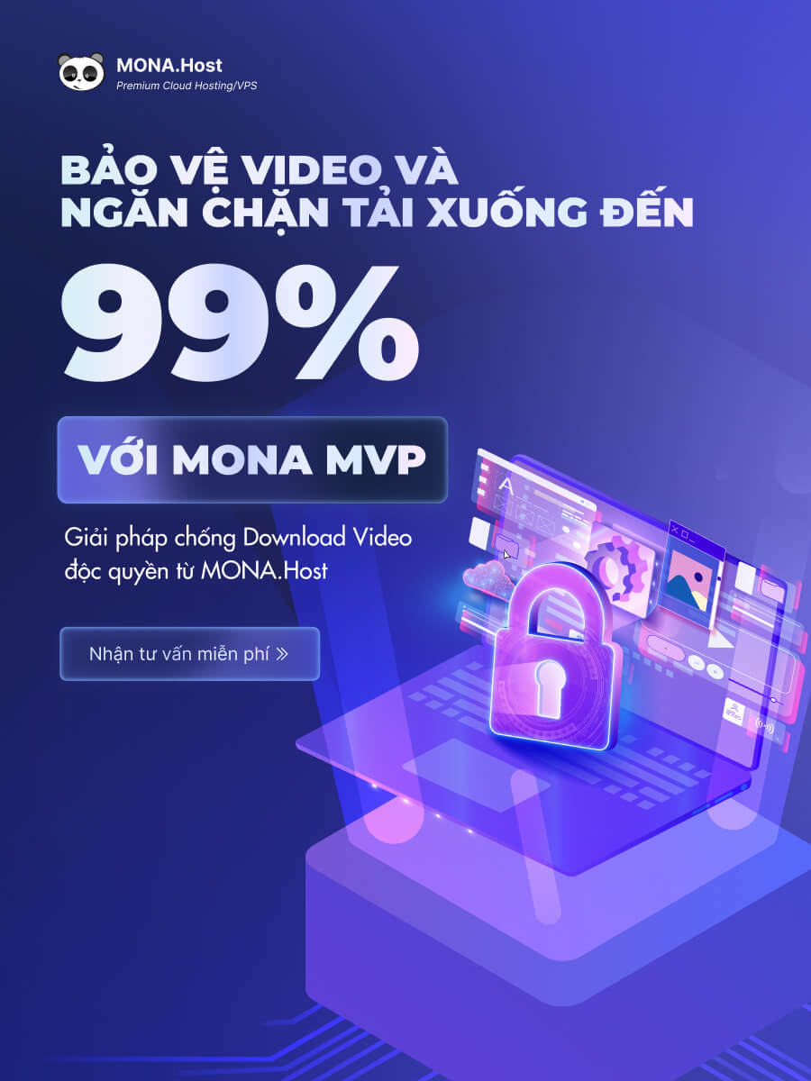 bảo vệ video MONA MVP