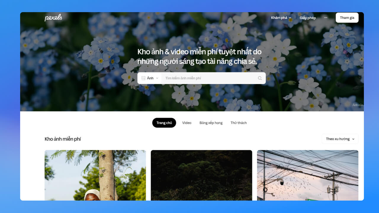 Pexels nguồn video miễn phí không bản quyền