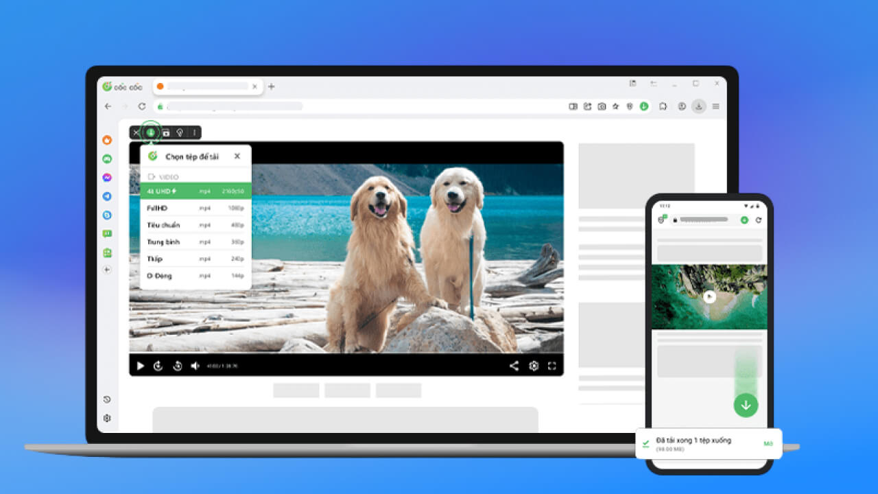Trình duyệt Cốc Cốc download video 